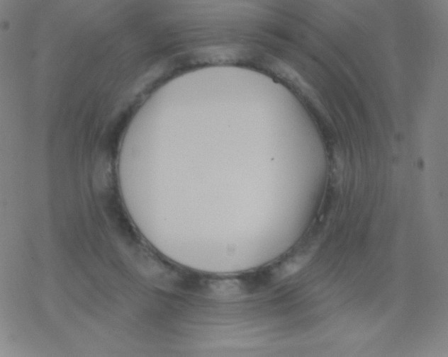 X0000077350355200611101620