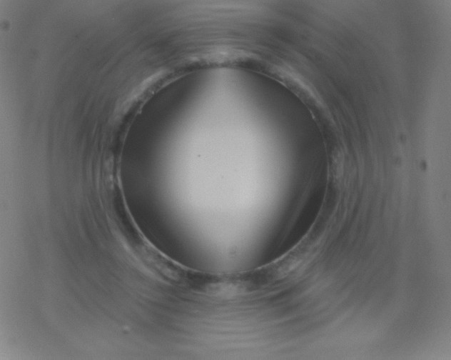 X0000077350356200611101620