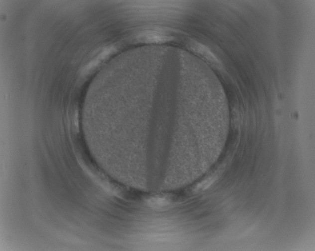 X0000077350358200611101620