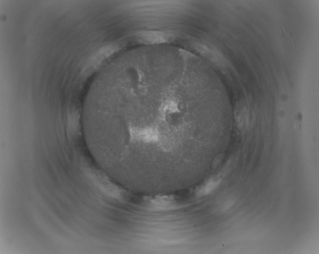 X0000077350359200611101620