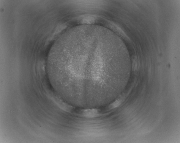 X0000077350363200611101620