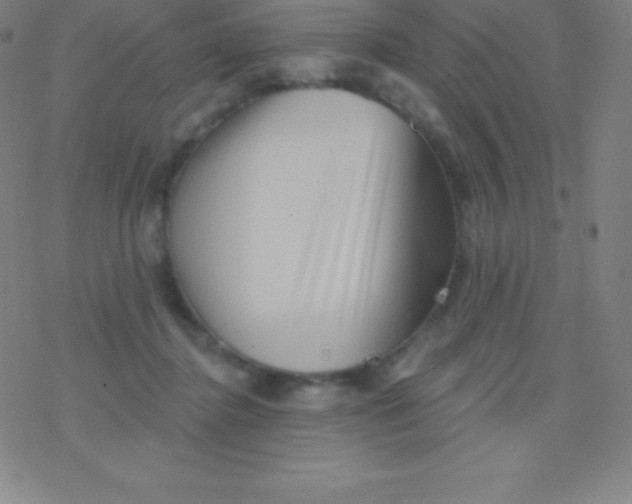 X0000077350364200611101620