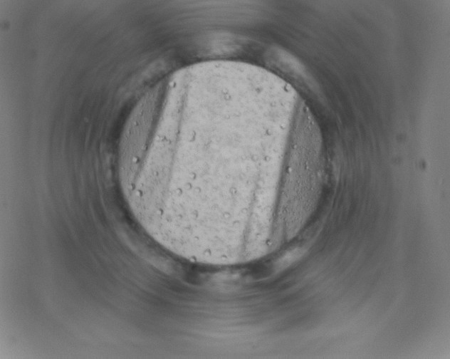 X0000077350366200611101620