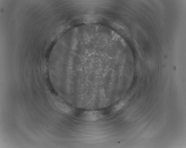 X0000077350367200611101620