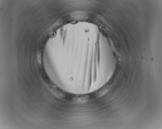 X0000077350368200611101620