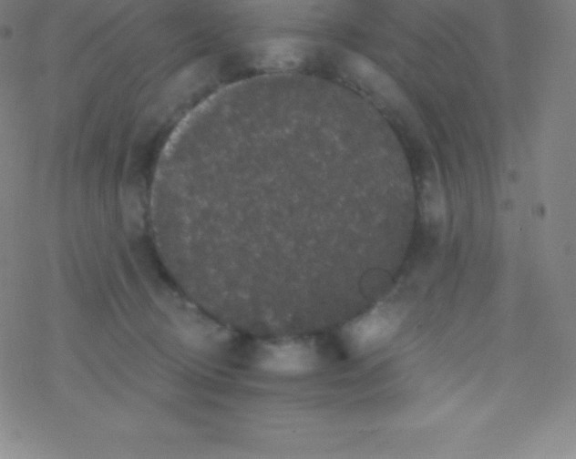 X0000077350370200611101620