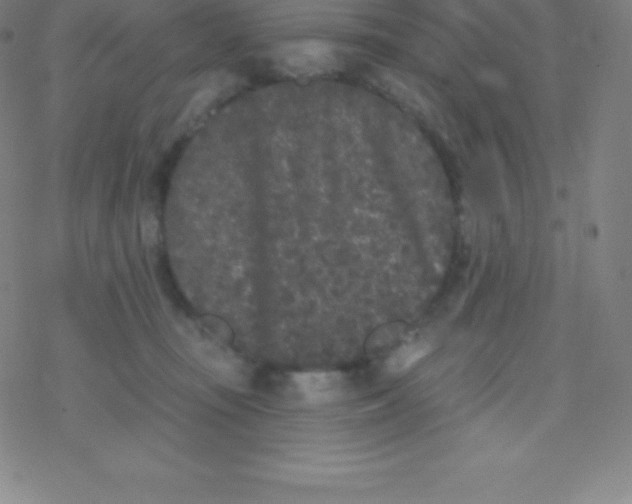 X0000077350371200611101620