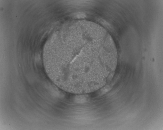 X0000077350373200611101620