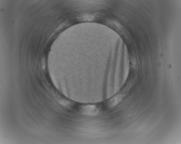 X0000077350374200611101620