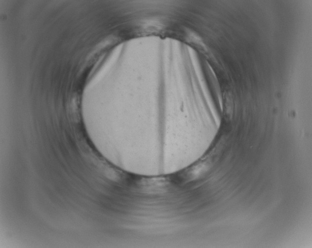 X0000077350378200611101620