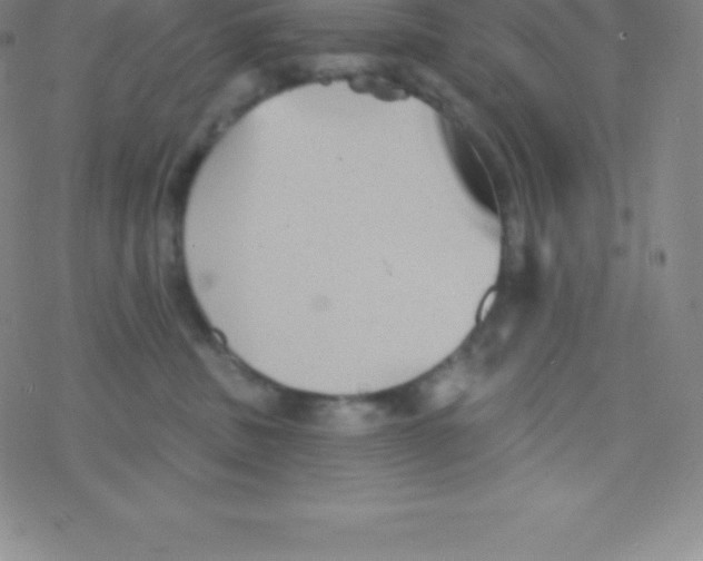 X0000077350379200611101620