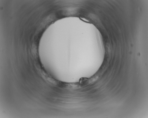 X0000077350380200611101620