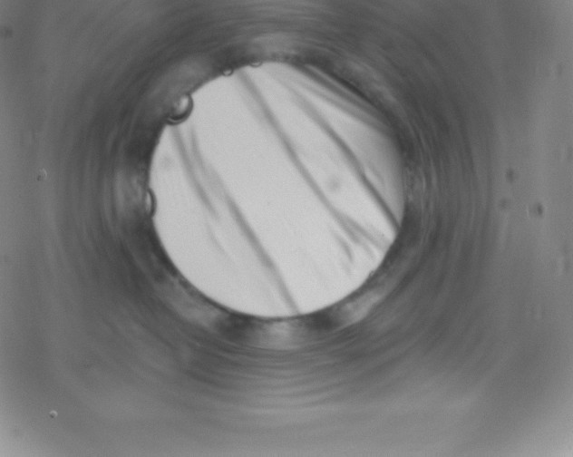 X0000077350382200611101620