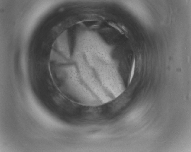 X0000077350383200611101620