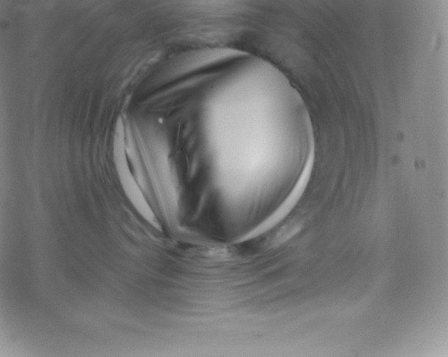 X0000077350384200611101620