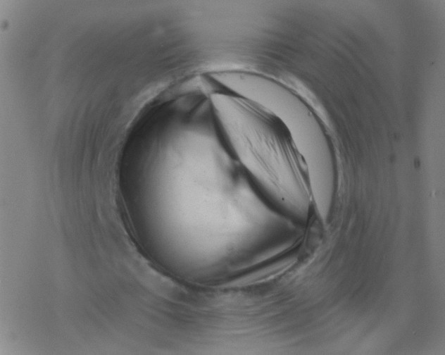 X0000077350385200611101619