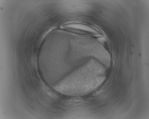 X0000077350386200611101619