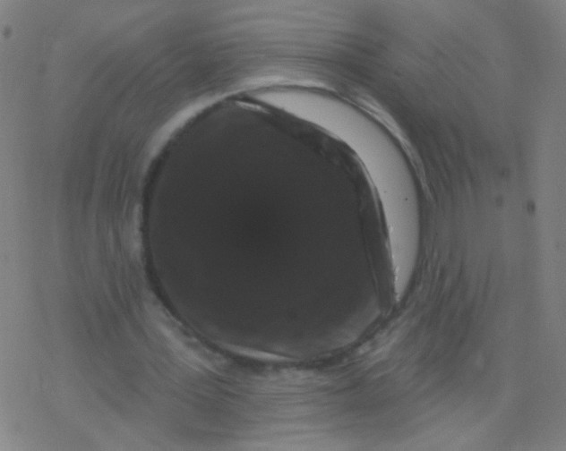 X0000077350387200611101619