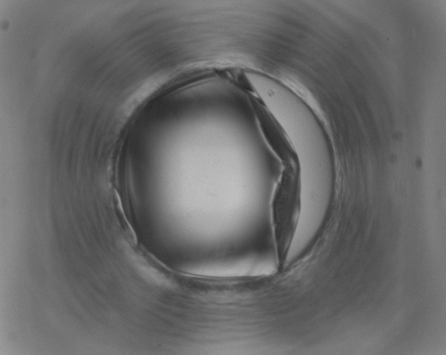 X0000077350389200611101619