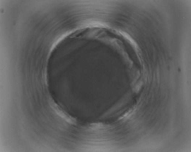 X0000077350391200611101619