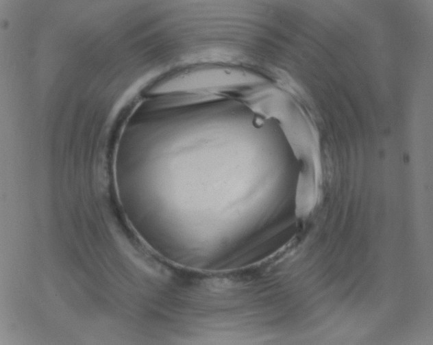 X0000077350392200611101619