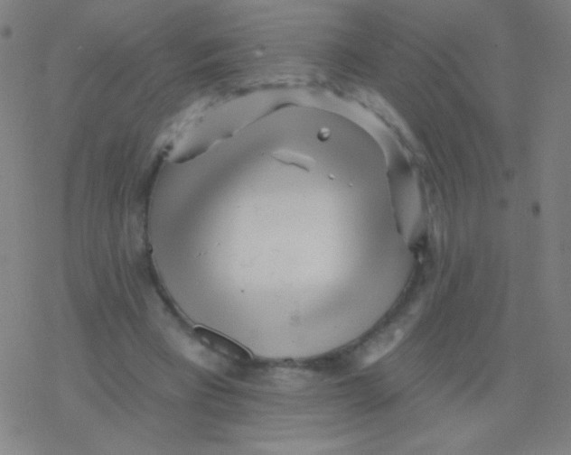 X0000077350393200611101619