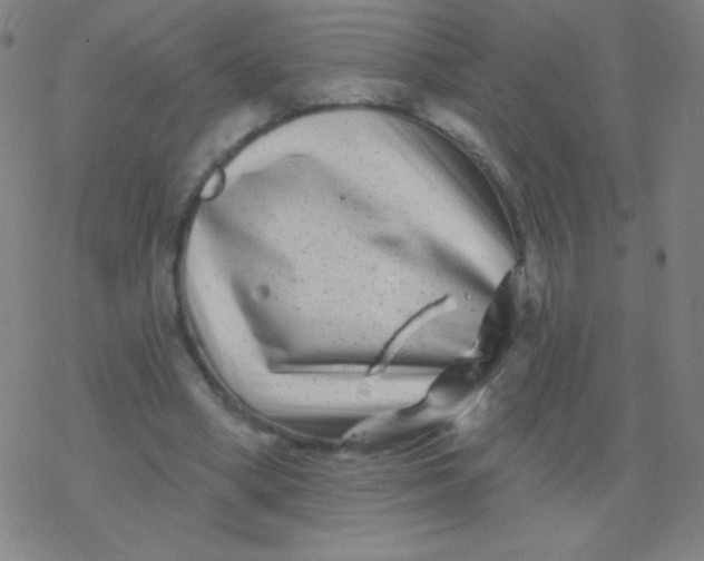 X0000077350394200611101619