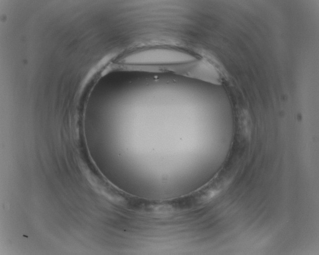 X0000077350395200611101619