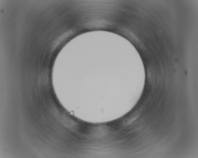 X0000077350396200611101619