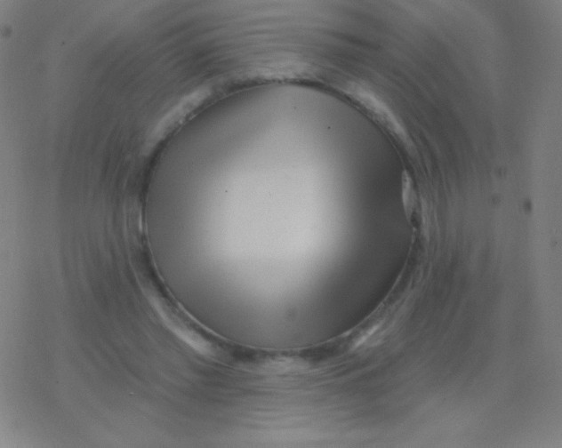 X0000077350397200611101619