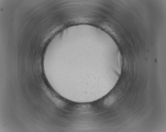 X0000077350398200611101619