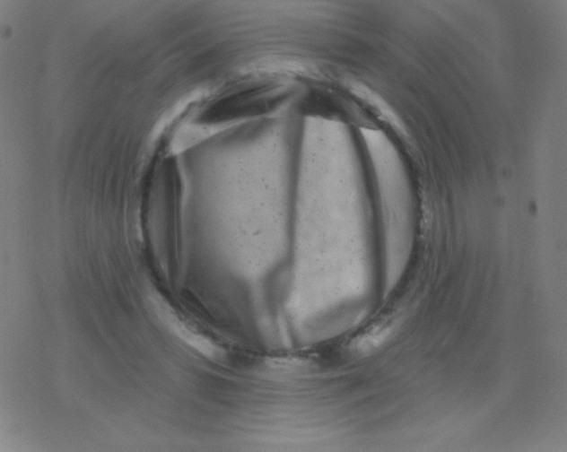 X0000077350399200611101619