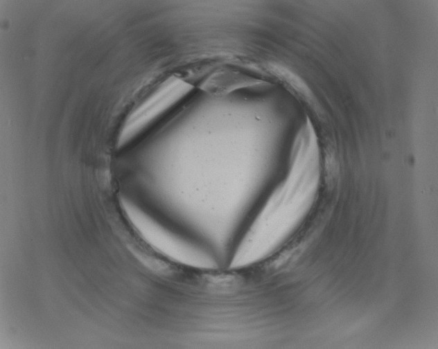 X0000077350401200611101619