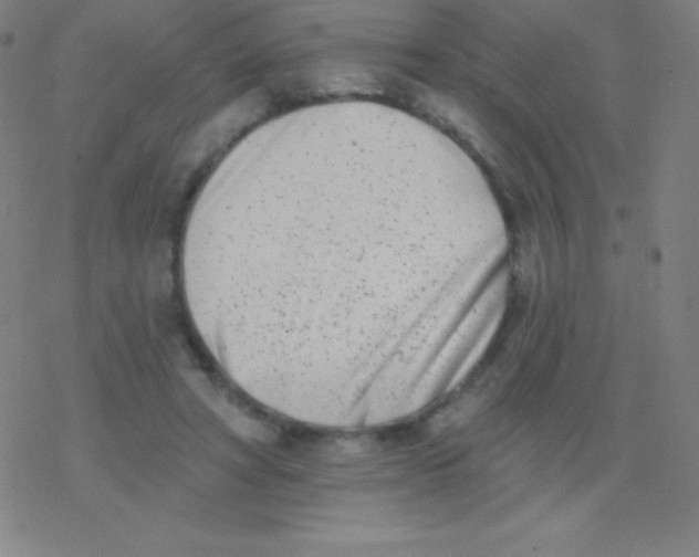 X0000077350402200611101619