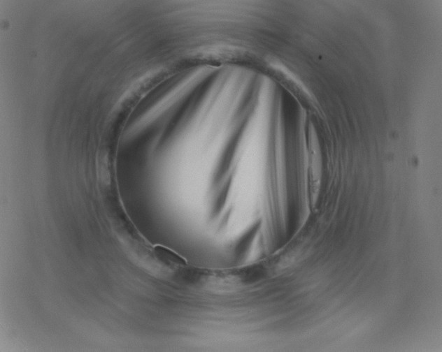 X0000077350403200611101619