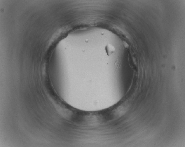 X0000077350404200611101619