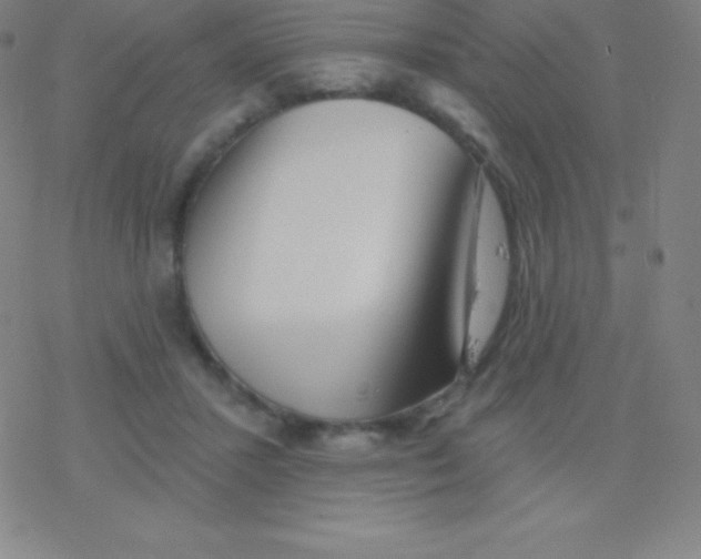 X0000077350407200611101619