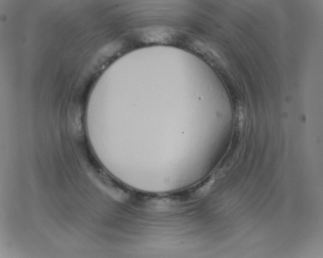 X0000077350408200611101619