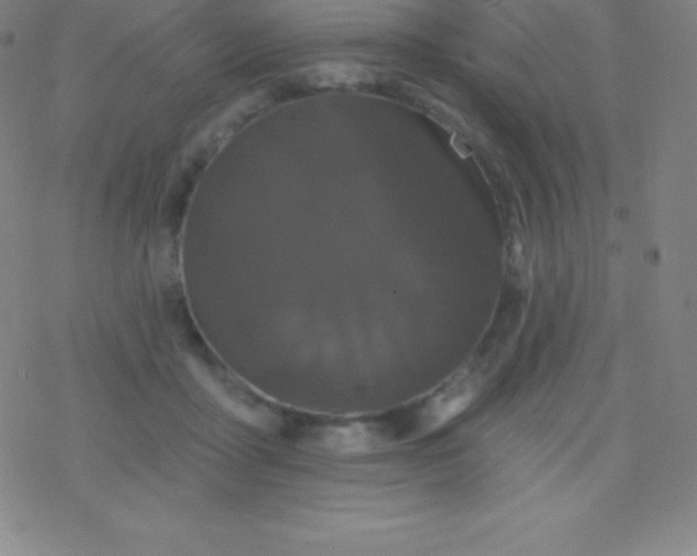 X0000077350411200611101619