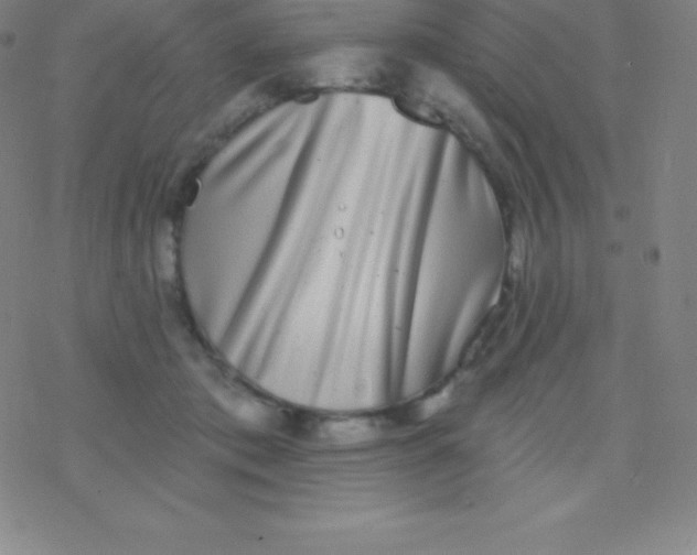 X0000077350413200611101619