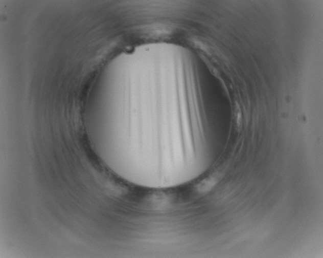 X0000077350416200611101619