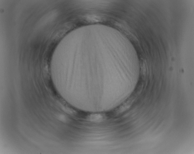 X0000077350418200611101619