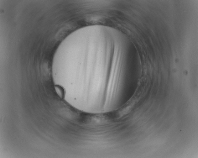 X0000077350420200611101619