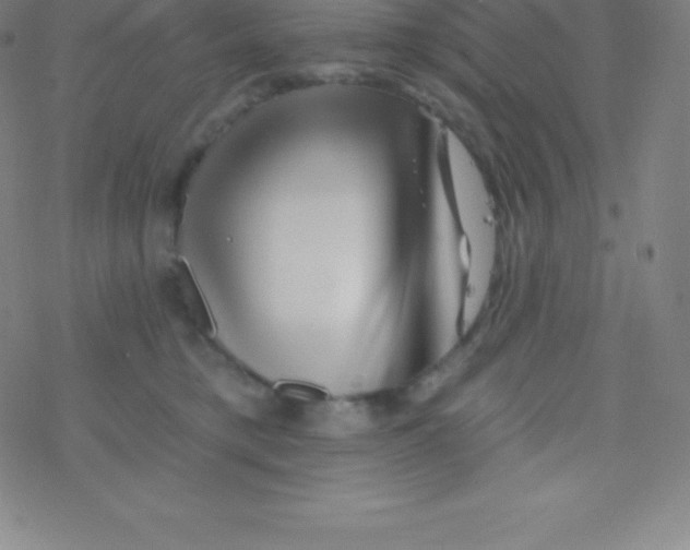 X0000077350421200611101619