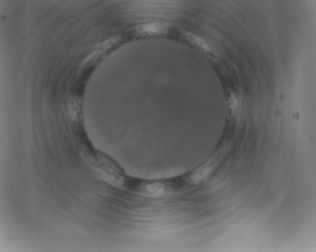 X0000077350423200611101619