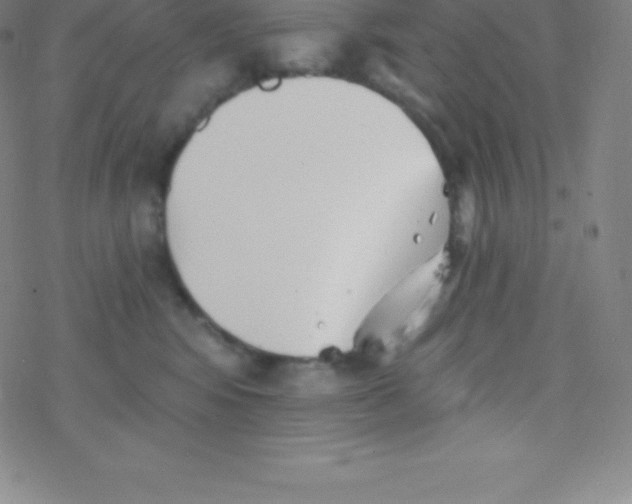 X0000077350424200611101619