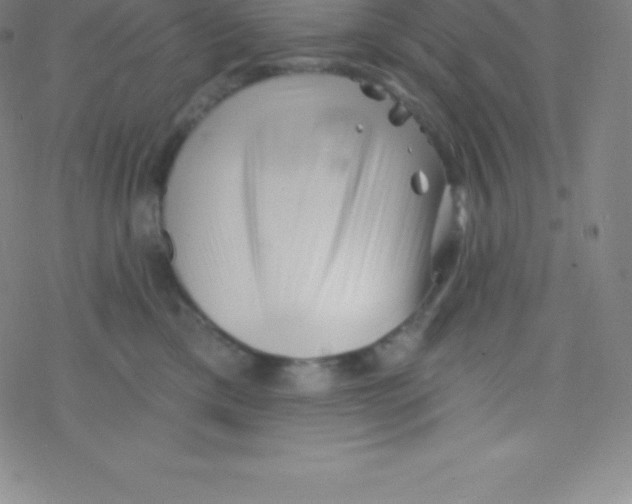 X0000077350425200611101619