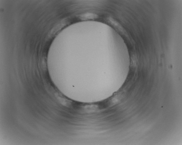 X0000077350426200611101619