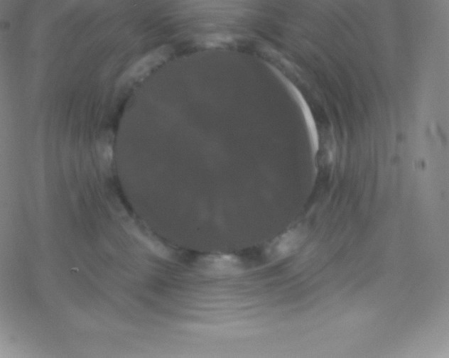 X0000077350427200611101619