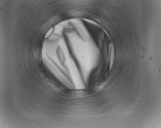 X0000077350428200611101619